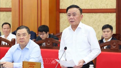 党中央書記局常務委員会は第14回党大会の組織活動を検討する会議を主宰した。