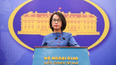Rejeter les évaluations biaisées et inexactes de la situation réelle au Vietnam.