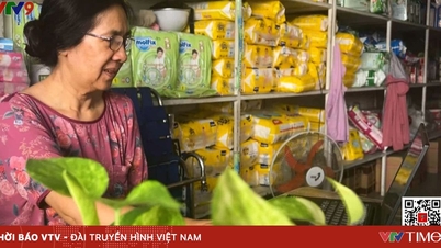 Perniagaan isi rumah secara proaktif menyesuaikan diri dengan proses transformasi digital.