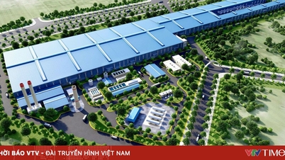 "Cú hích kép" chiến lược cho hạ tầng đường sắt và công nghiệp nặng Việt Nam