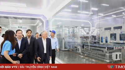 Phó Thủ tướng Thường trực Chính phủ Nguyễn Hòa Bình thăm, kiểm tra một số dự án tại Quảng Ninh