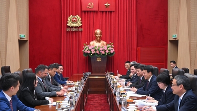 Ministrul Luong Tam Quang îl primește pe directorul general al Nebula Energy, SUA.