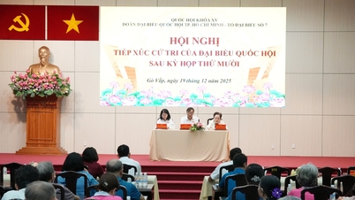 La délégation de l'Assemblée nationale de Hô Chi Minh-Ville a rencontré les électeurs de 6 circonscriptions.