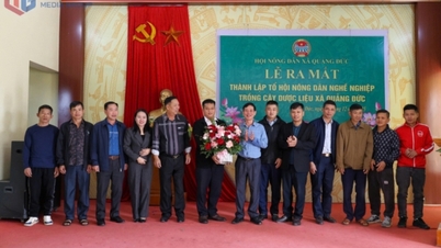Xã Quảng Đức ra mắt Tổ hội nông dân nghề nghiệp trồng cây dược liệu