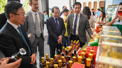 Du lịch thúc đẩy các trụ cột kinh tế