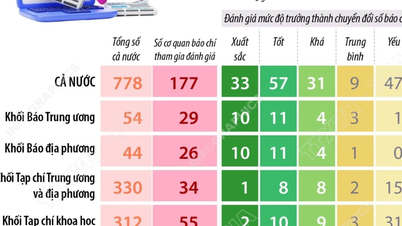 Krajobraz transformacji cyfrowej w dziennikarstwie: 33 media w całym kraju osiągnęły znakomite wyniki.