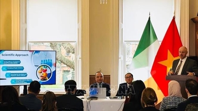 Vietnam - Mitra ekonomi Irlandia yang paling dinamis dan menjanjikan di ASEAN.