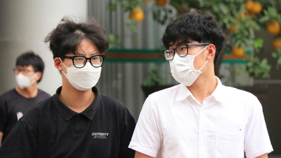 대학들은 기관 명칭을 정할 때 '국제' 또는 '국립'이라는 단어를 사용할 수 없습니다.