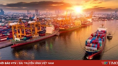 Vietnam a világ 15 legnagyobb kereskedelmével rendelkező országa közé tartozik.