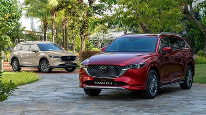 Les véhicules Mazda bénéficient de réductions de prix généralisées, les CX-5 et CX-8 offrant les remises les plus importantes.