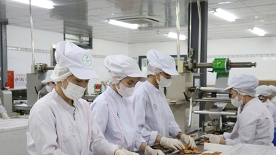Động lực nâng cao chất lượng sản phẩm công nghiệp nông thôn