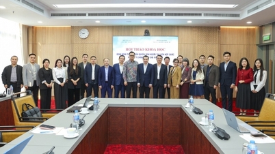 Modelarea noilor standarde privind drepturile omului la Națiunile Unite și implicațiile politice pentru Vietnam.