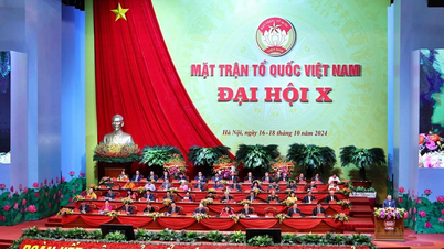 Menegaskan peranan Barisan Tanah Air Vietnam dalam kritikan sosial terhadap dasar dan keputusan utama.