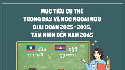 Specific objectives in foreign language teaching and learning for the period 2025-2035, with a vision to 2045.