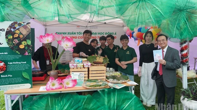 Plus de 1 000 étudiants de Da Nang ont découvert la culture coréenne.