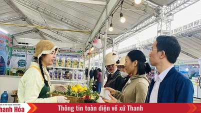 Mengintegrasikan produk pertanian Thanh Hoa dengan lebih mendalam ke dalam rantaian nilai.