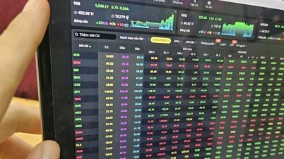 Experts predict a positive week for stocks, but still await large capital inflows.