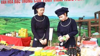 Păstrând „sufletul” ceaiului din Xinjiang de-a lungul generațiilor.