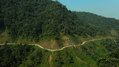 มีการประกาศสถานการณ์ฉุกเฉินเนื่องจากภัยพิบัติทางธรรมชาติบนถนนเจื่องเซินตะวันออก