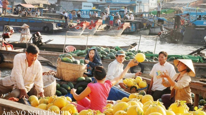 ใบมะพร้าวแขวนอยู่ พ่อค้าคนหนึ่งกำลังจะออกจากท่าเรือ