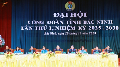 การประชุมเชิงปฏิบัติการครั้งแรก การประชุมใหญ่ครั้งแรกของสหภาพแรงงานจังหวัดบั๊กนิญ วาระปี 2025-2030
