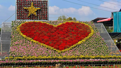 Dong Thap: Preparados para o 2º Festival de Flores e Plantas Ornamentais de Sa Dec