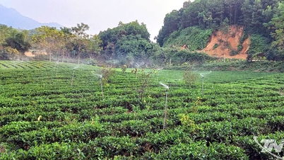 ការរួមបញ្ចូលគ្នានៃកម្មវិធីគោលដៅជាតិចំនួនបី - ជារបកគំហើញមួយសម្រាប់ការកាត់បន្ថយភាពក្រីក្រនៅ Van Lang។