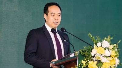 Grupul BIM începe construcția a 3 proiecte cheie în valoare de aproape 10.500 miliarde VND în Quang Ninh.