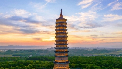 Ninh Binh: Visita a la pagoda más alta de Asia, la Pagoda Bai Dinh.