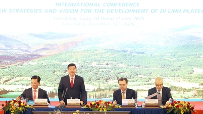 Ceremonia de apertura del Taller Internacional sobre Nuevas Estrategias y Visiones para el Desarrollo de la Meseta de Di Linh