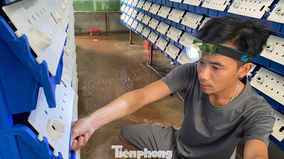 Pulang ke kampung halaman mereka untuk memulakan perniagaan dan berharap dapat mengurangkan kemiskinan untuk rakyat.