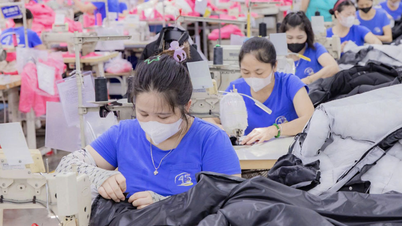 Ürünlerin menşei ve Vietnam tekstil ve giyim işletmelerinin entegrasyon kapasitesinin testi.