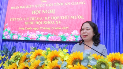 Vicepresident Vo Thi Anh Xuan ontmoet kiezers in de wijk Long Xuyen in de provincie An Giang.