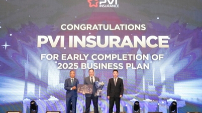PVI Insurance depășește venituri de 1 miliard de dolari, confirmând statura sa internațională.