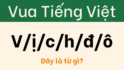 Kdo je „finálním šéfem“ výzvy „vietnamský jazykový král“?