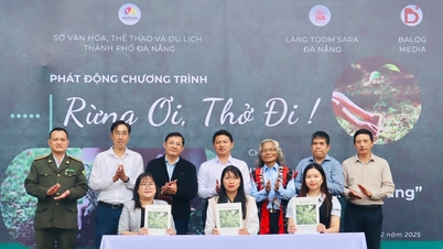ទីក្រុងដាណាំង បើកដំណើរការកម្មវិធី "ព្រៃឈើ ដកដង្ហើម!"