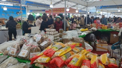 Membantu bisnis swasta membangun dan mempromosikan merek mereka.