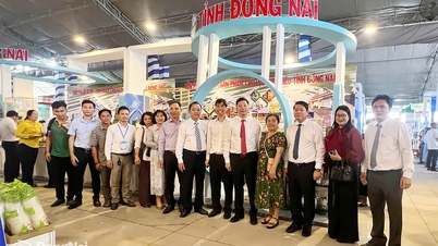 20 doanh nghiệp Đồng Nai tham gia chương trình kết nối cung - cầu tại Thành phố Hồ Chí Minh