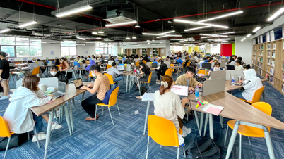 Propositions visant à renforcer le processus de transformation des universités en établissements d'enseignement supérieur à partir de 2026.