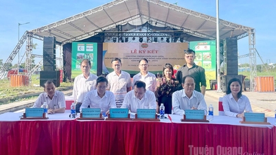 Bondelagene i provinsene Tuyen Quang og An Giang signerer samarbeidsprogram.