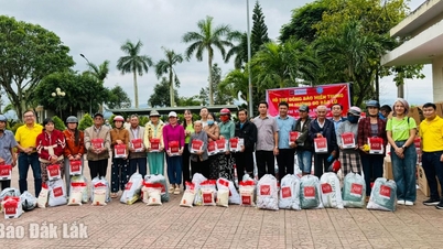 Donated 800 million VND to support people and students affected by natural disasters.