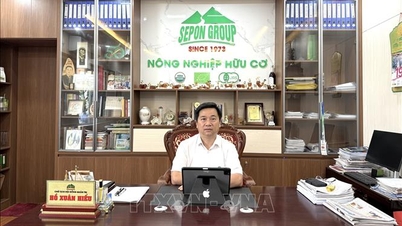 Ho Xuan Hieu gigih menyemai nilai-nilai kemanusiaan dalam masyarakat.