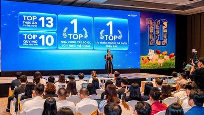 ការ​ចេញ​លក់​ភាគហ៊ុន​ជា​សាធារណៈ​លើក​ដំបូង (IPO) របស់​ក្រុមហ៊ុន Hoa Phat Agriculture៖ បរិមាណ​នៃ​ការ​ជាវ​លើស​ពី​ទំហំ​នៃ​ការ​ផ្តល់​ជូន។