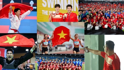 Le Vietnam avait le 6e plus grand contingent de la région et s'est classé dans le top 3 aux Jeux d'Asie du Sud-Est 33 : 87 médailles d'or, battant 6 records des Jeux.