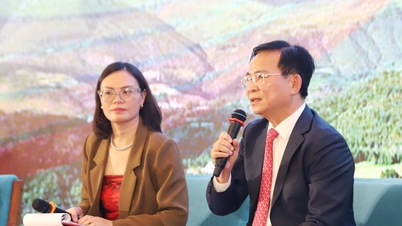 Tọa đàm cấp cao Hội thảo Quốc tế Cao nguyên Di Linh