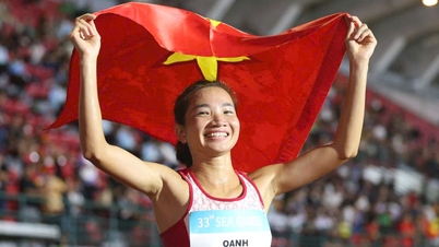 Bảng tổng sắp huy chương SEA Games 33 chung cuộc