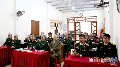 The Ninh Binh Provincial Association of Veteran Poet Lovers summarizes its activities for 2025.