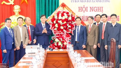 Meluncurkan Klub Bisnis Komune Ninh Cuong