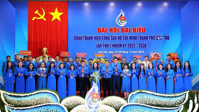 Belia Can Tho merupakan perintis dan teladan dalam gerakan revolusioner.
