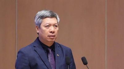 Da Nang menggunakan data terbuka untuk membangunkan ekonomi digital dan masyarakat digitalnya.